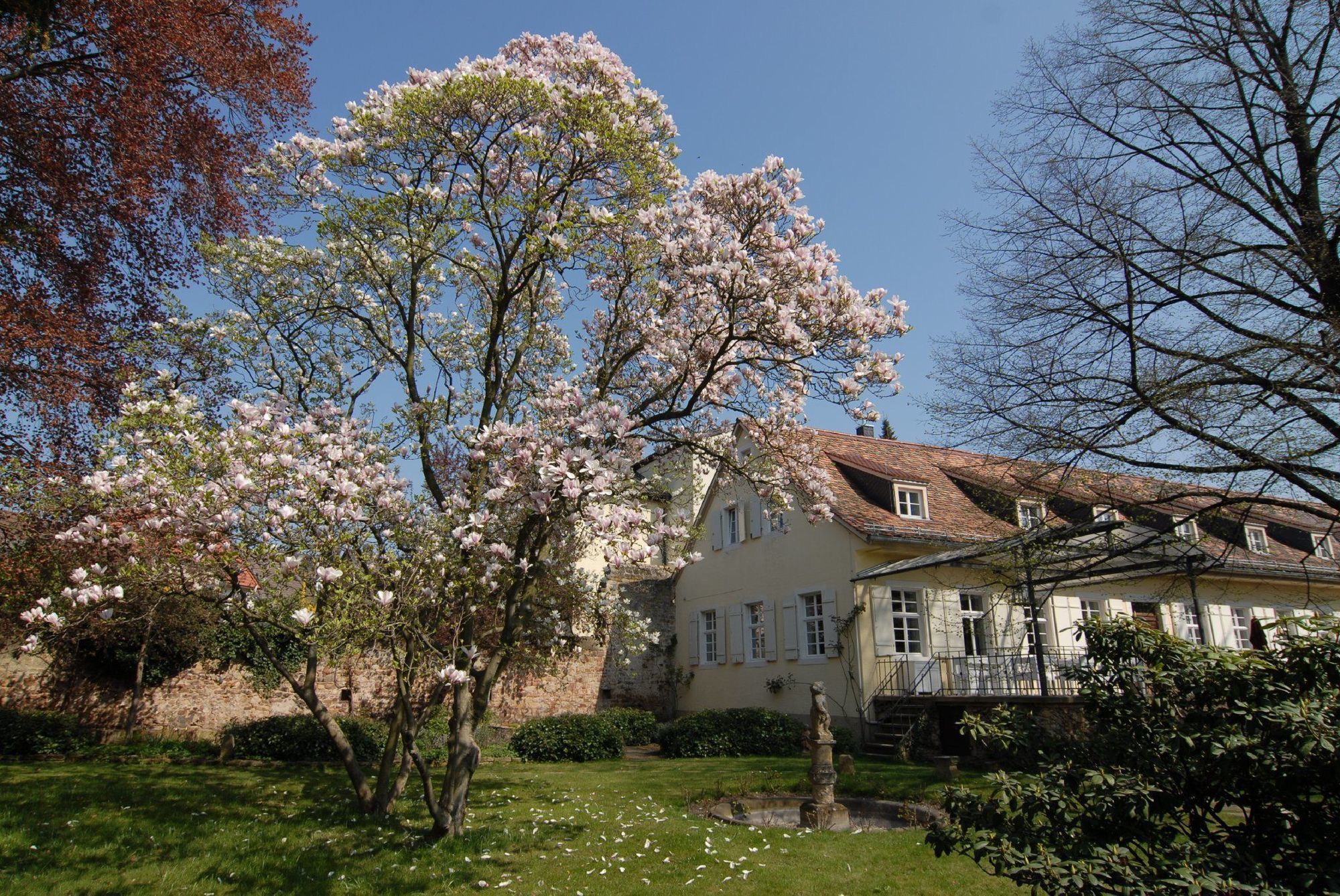 Hotel Ketschauer Hof Deidesheim Esterno foto